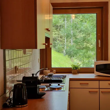 Appartement Skyview Bad Kleinkirchheim